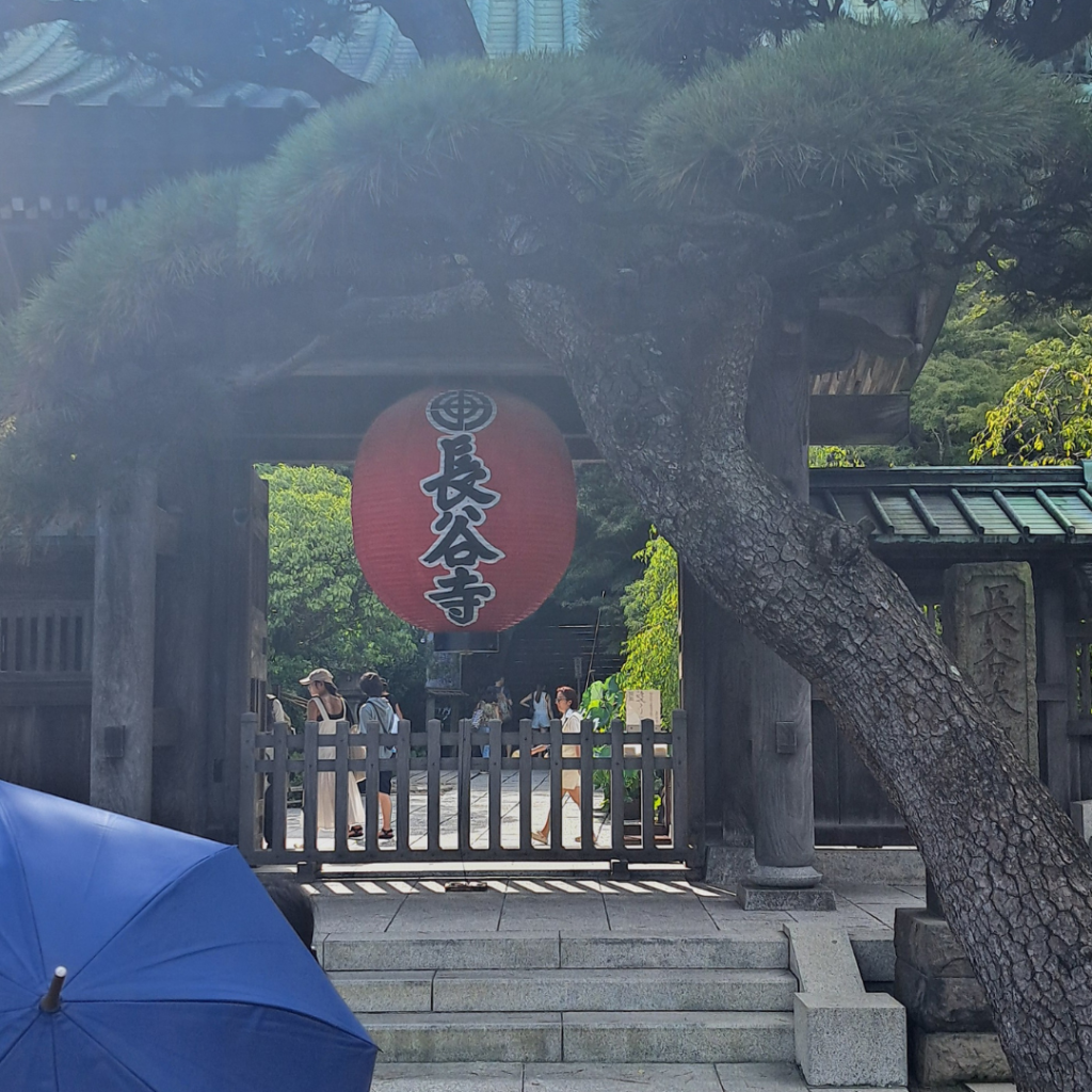 10. kamakura ingresso hase dera