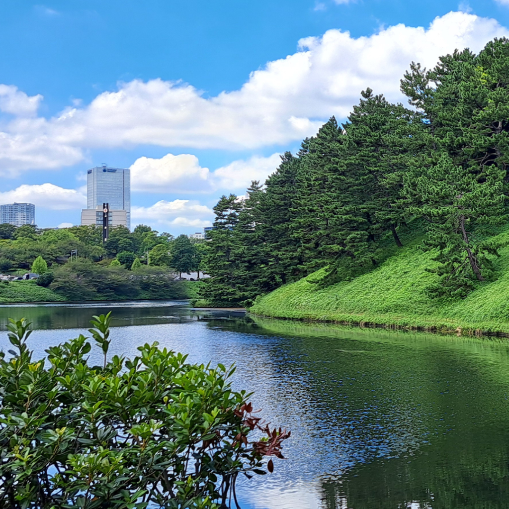 10. parco palazzo imperiale