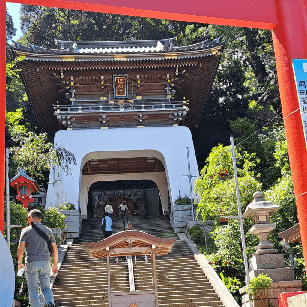 3. passiamo il tori e inizia l'avventura