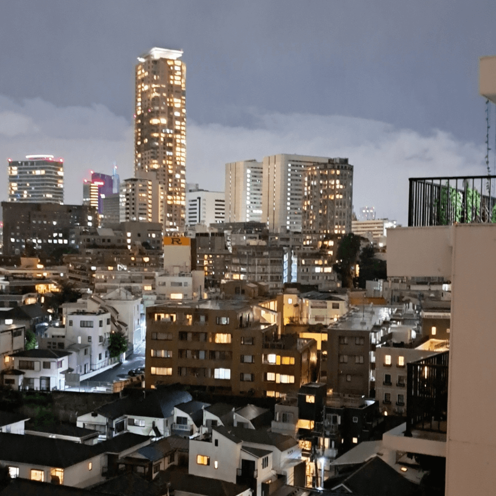 4. la vista dall'albergo