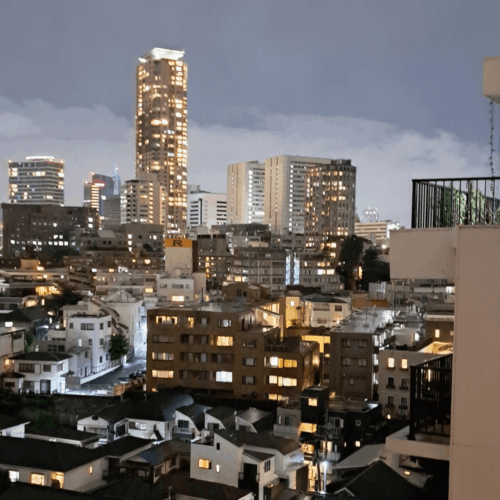 4. la vista dall'albergo