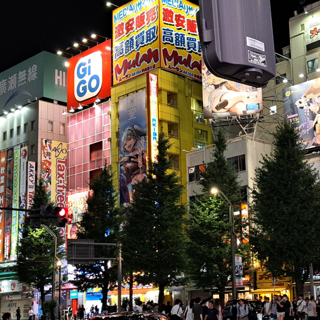 8. akiba night