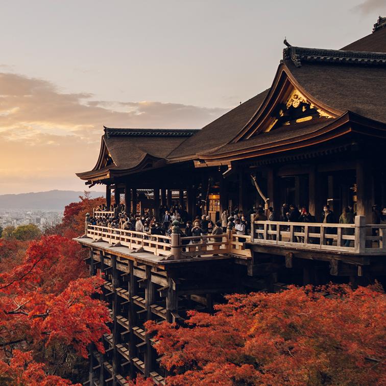 KYOTO5